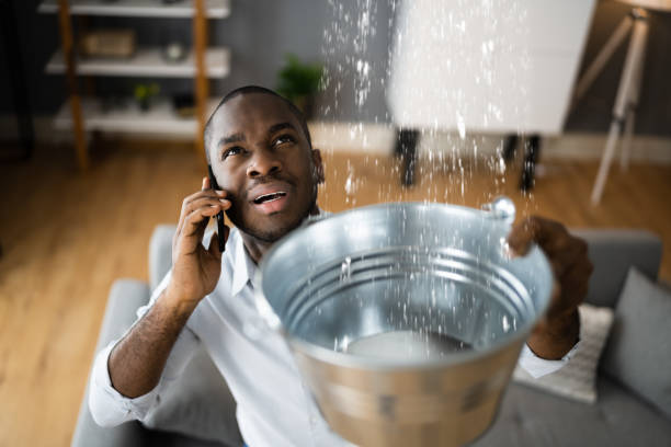 Best Flooded house restoration  in Odenton, MD