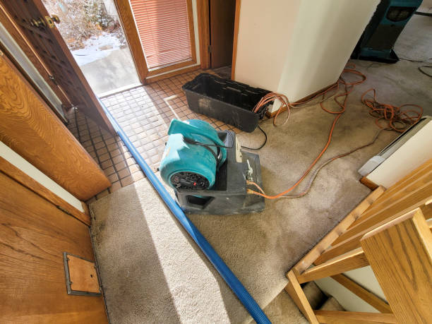 Best Water damage restoration mold remediation  in Odenton, MD