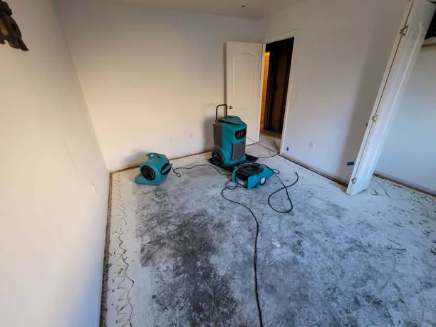 Best Water damage restoration near me  in Odenton, MD