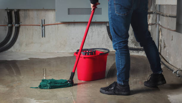 Best Carpet water damage restoration  in Odenton, MD