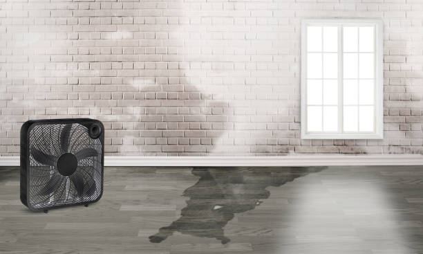 Best Residential water damage restoration  in Odenton, MD