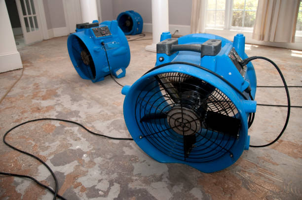 Best Fire Damage Restoration  in Odenton, MD