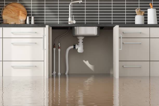 Best Mold removal after water damage  in Odenton, MD
