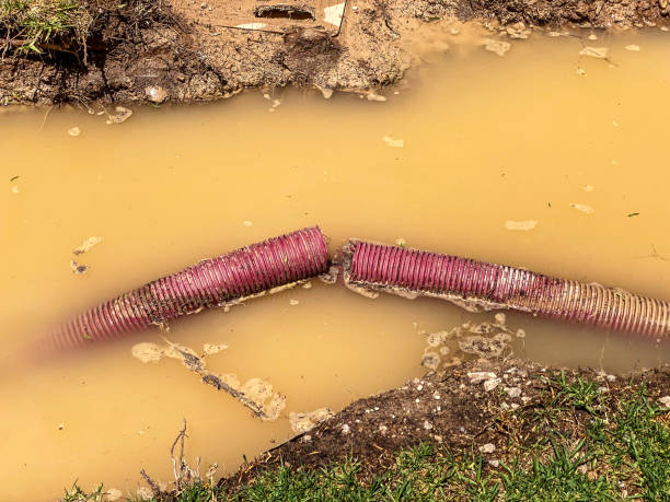 Best Water damage cleanup near me  in Odenton, MD