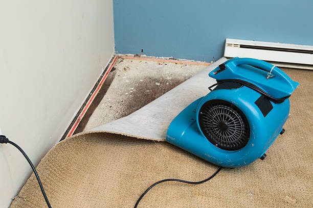 Best Sewage cleanup and water damage restoration  in Odenton, MD
