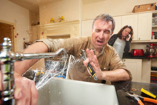 Best Professional water damage repair  in Odenton, MD
